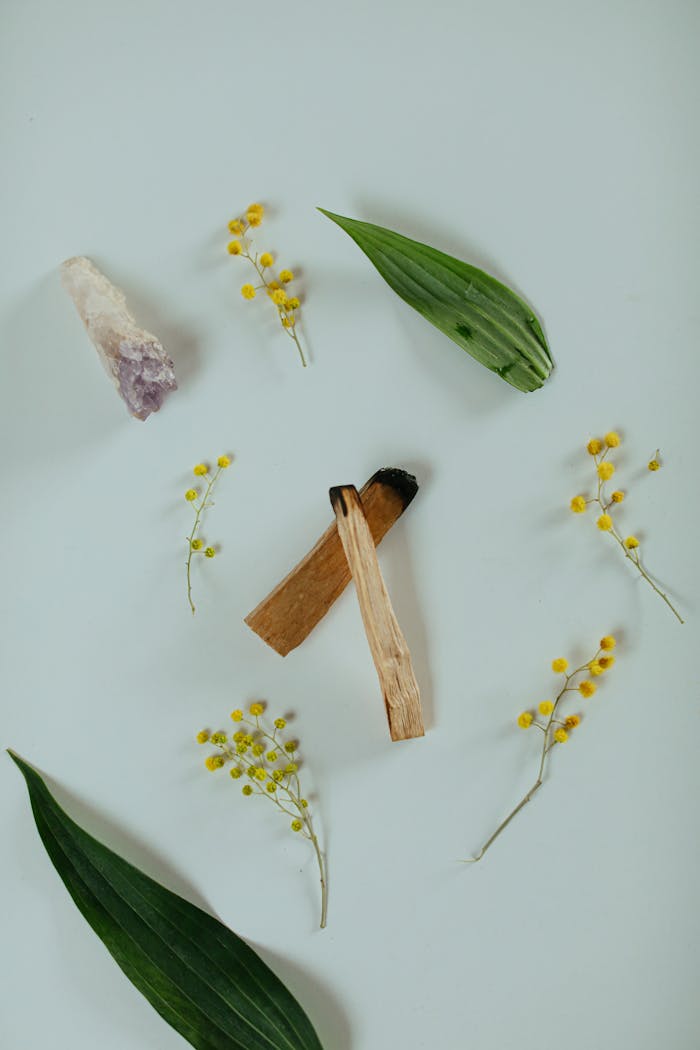 Offerings Still life arrangement of Palo Santo, leaves, and yellow flowers on a calm background.
